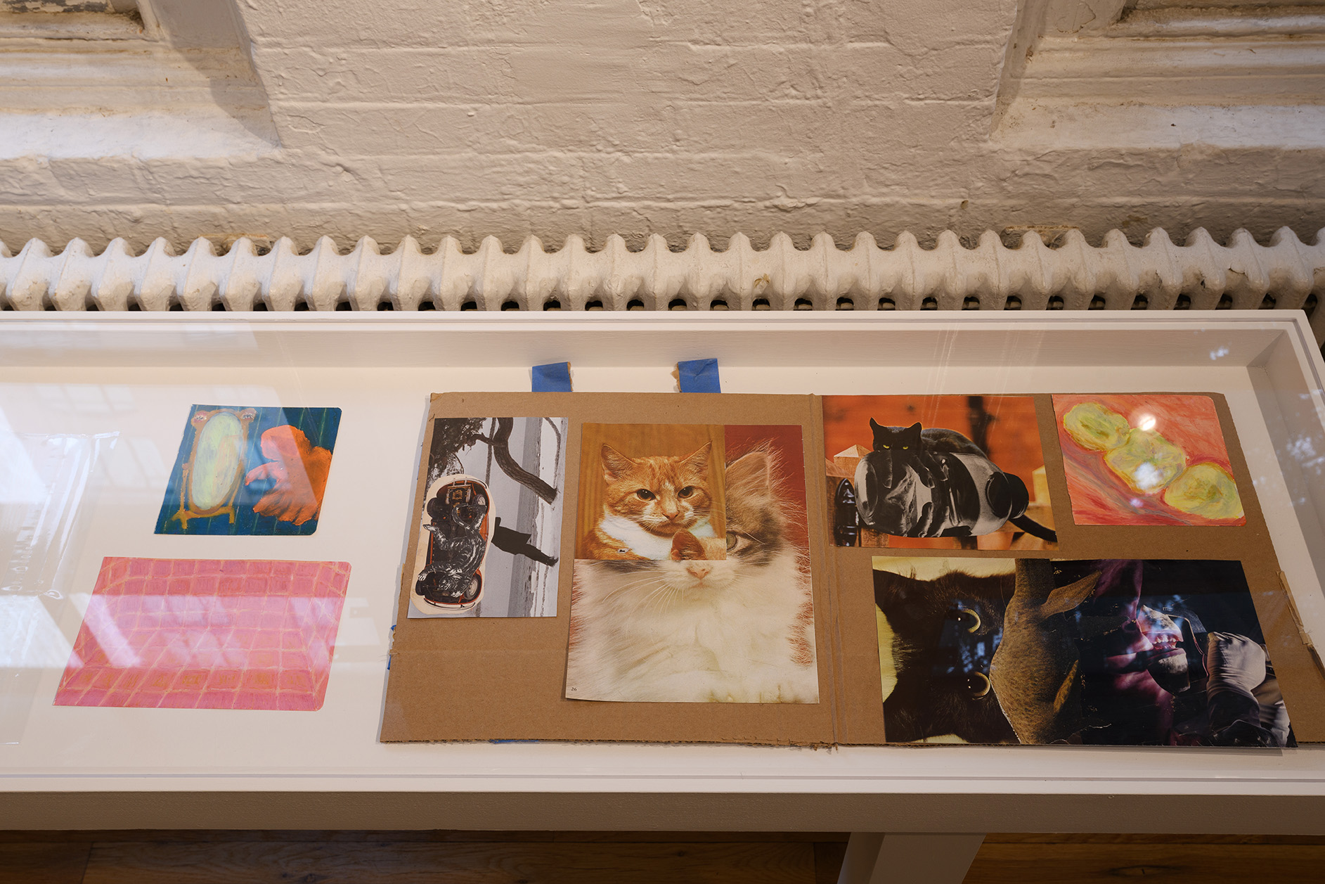 [A closeup image of the display, featuring oil pastel drawings–one primarily pink, one multi-colored, and one of a molar tooth surrounded by pink gums–as well as a series of collages of black and orange tabby cats presented on cardboard.]